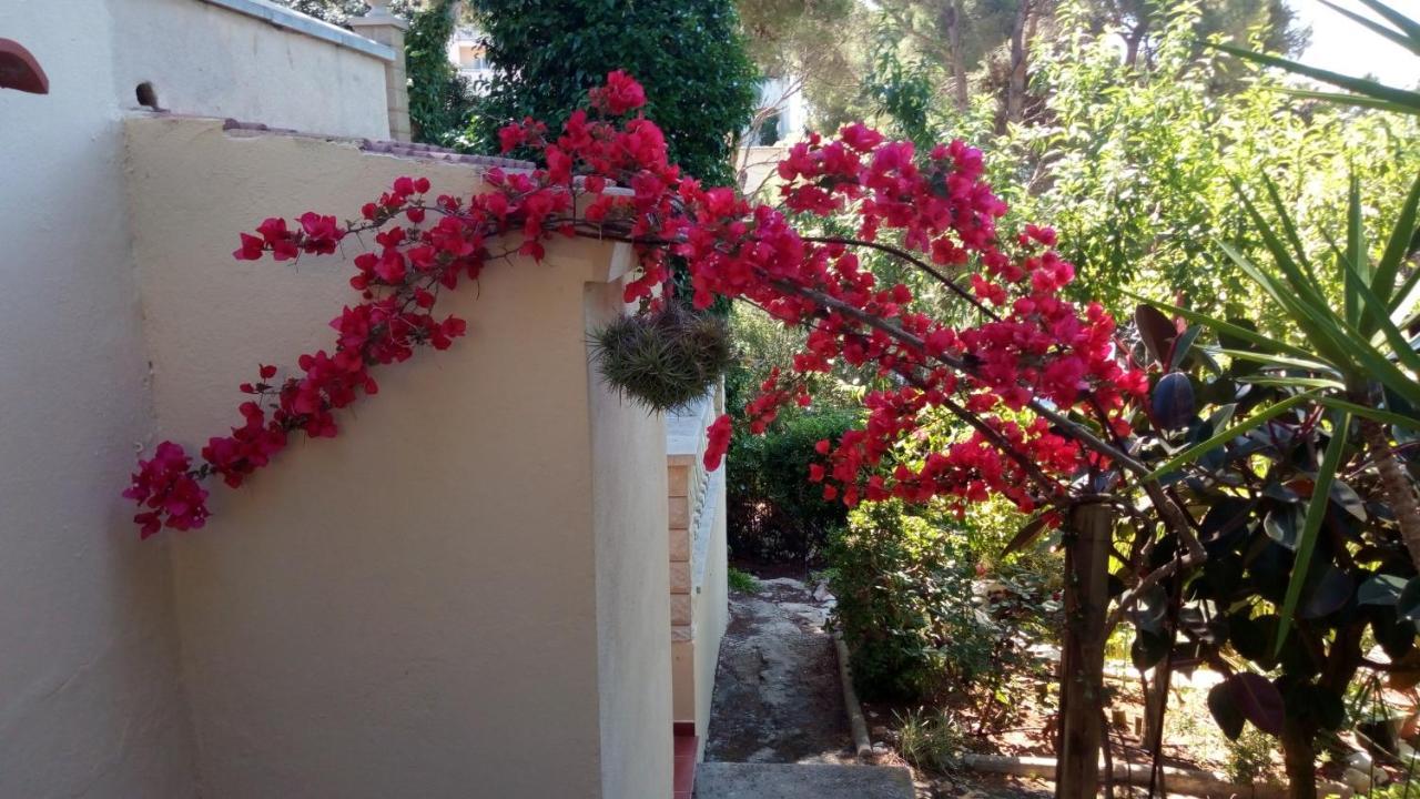 Casa Montse Villa Cala Galdana  Buitenkant foto